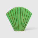Sea Shell