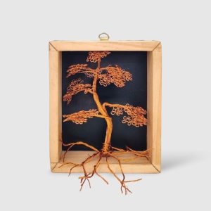 Bonsai In Box