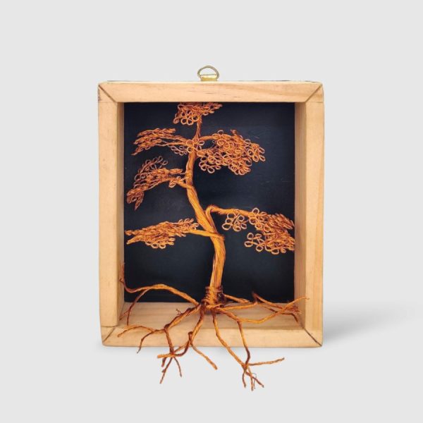 Bonsai In Box