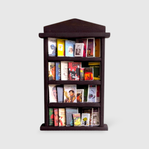 Miniature Bookshelf with Bangla Books(30 pcs)