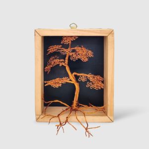 Bonsai In Box